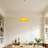 Single Light Orange Pendant Light Vintage Adjustable  Hanging Light