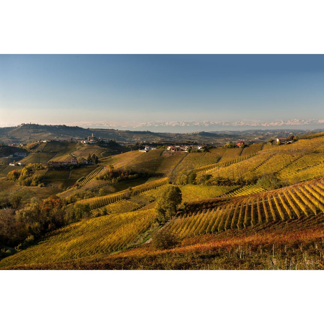 Weinberge im Herbst von DarioEgidi - Kunstdrucke auf Leinwand ohne Rahmen