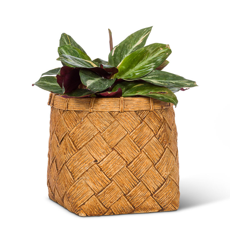 Cache-pot en béton