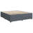 Latitude Run® Bed Frame Without Mattress  Velvet-797962989-800337735