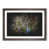 Walnut Framed selected