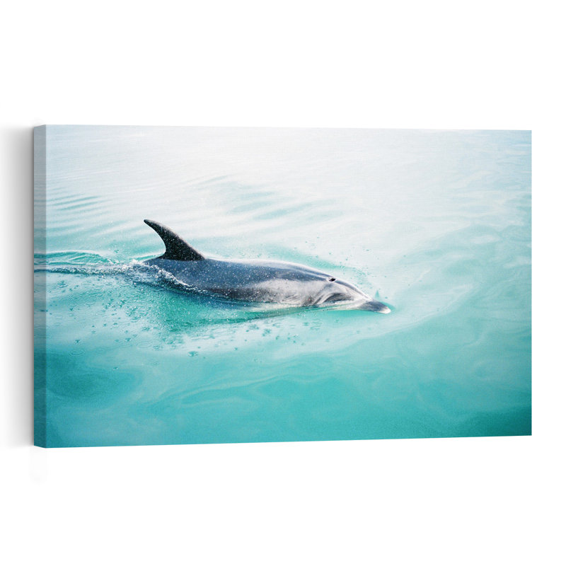 Dolphin N.Z. Northern Contemporary Dolphin Fish Wall Art Print by Raisa Zwart - Print, 101.6cm H x 152.4cm W