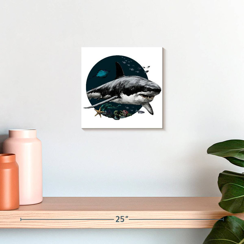 Crowle Gray Shark Illustration, 10" H x 10" W