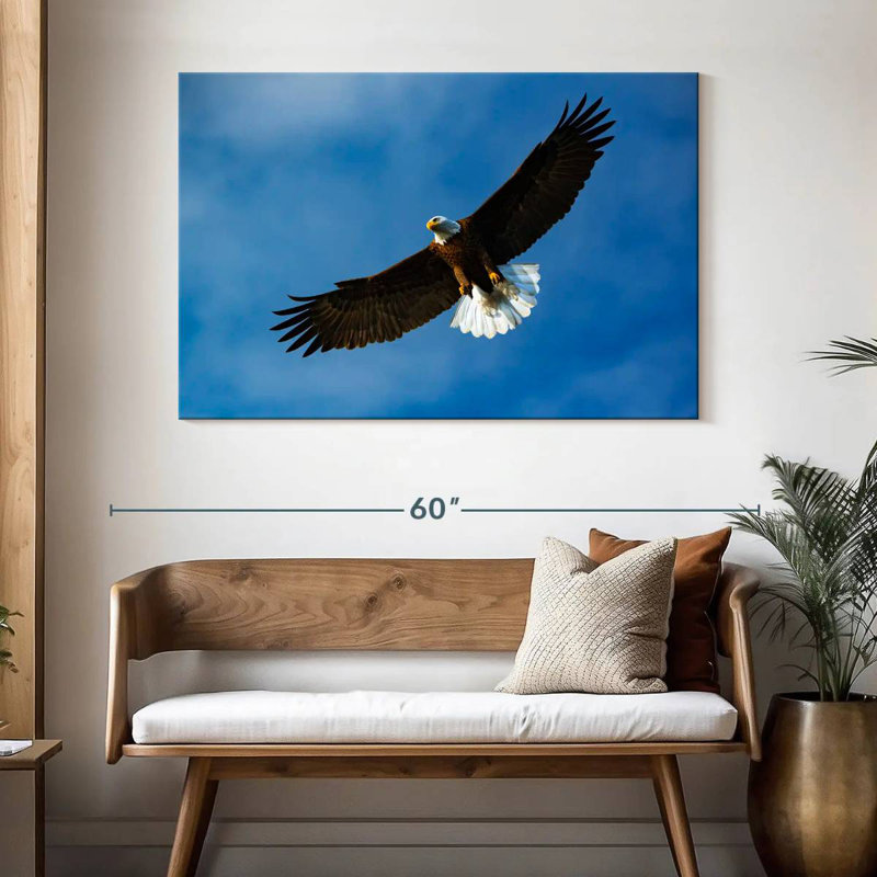Brampt Eagle From Below, 32" H x 48" W