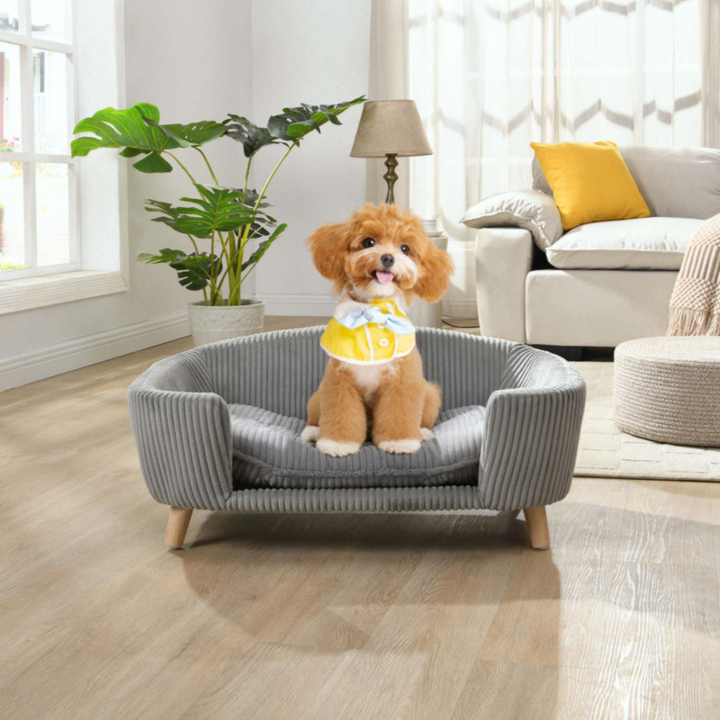 Cadre de lit pour chien surélevé pour petit chien, lit en velours côtelé avec pieds en bois d'hévéa et mousse de soutien, assemblage facile