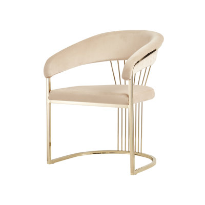 Keyleigh Velvet Upholstered Arm Chair