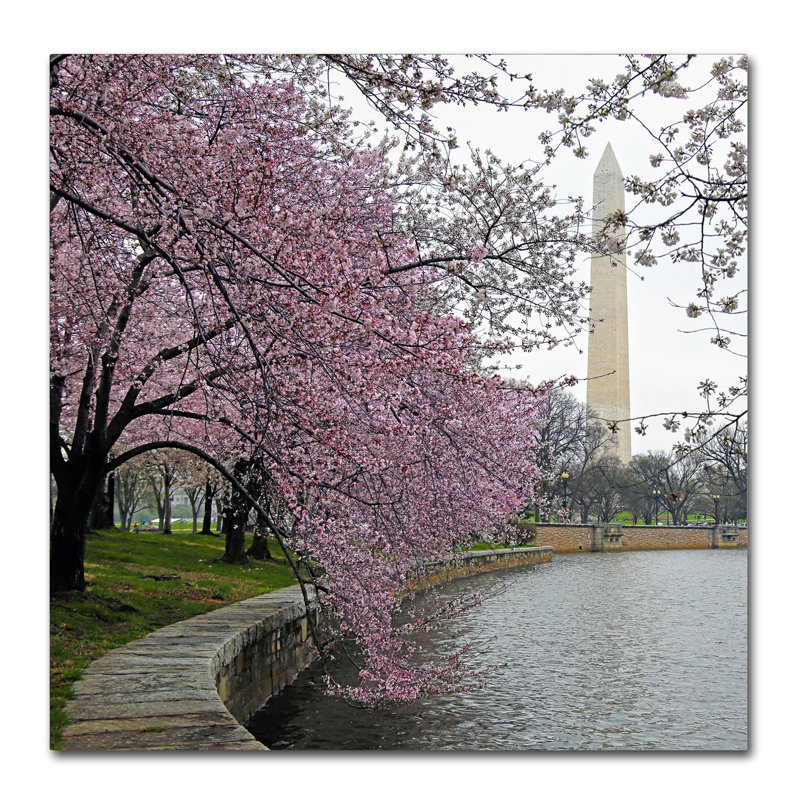 Washington fleurs, reproduction de photo sur toile tendue, H 18 po x l 18 po x P 2 po