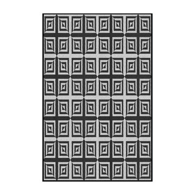 Indoor Rug