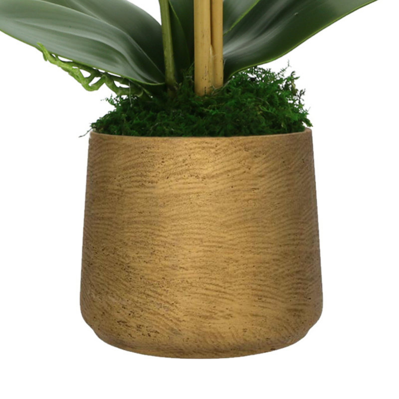 Orchid Arrangement In Round Pot With Orchid Leaves