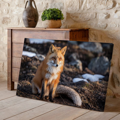 Canvas A Majestic Red Fox Sits Gracefully On A Rocky Terrain Wall Art Its Vibrant Orange Fur Contrasting Beautifully With The Muted Canvas Wall Art