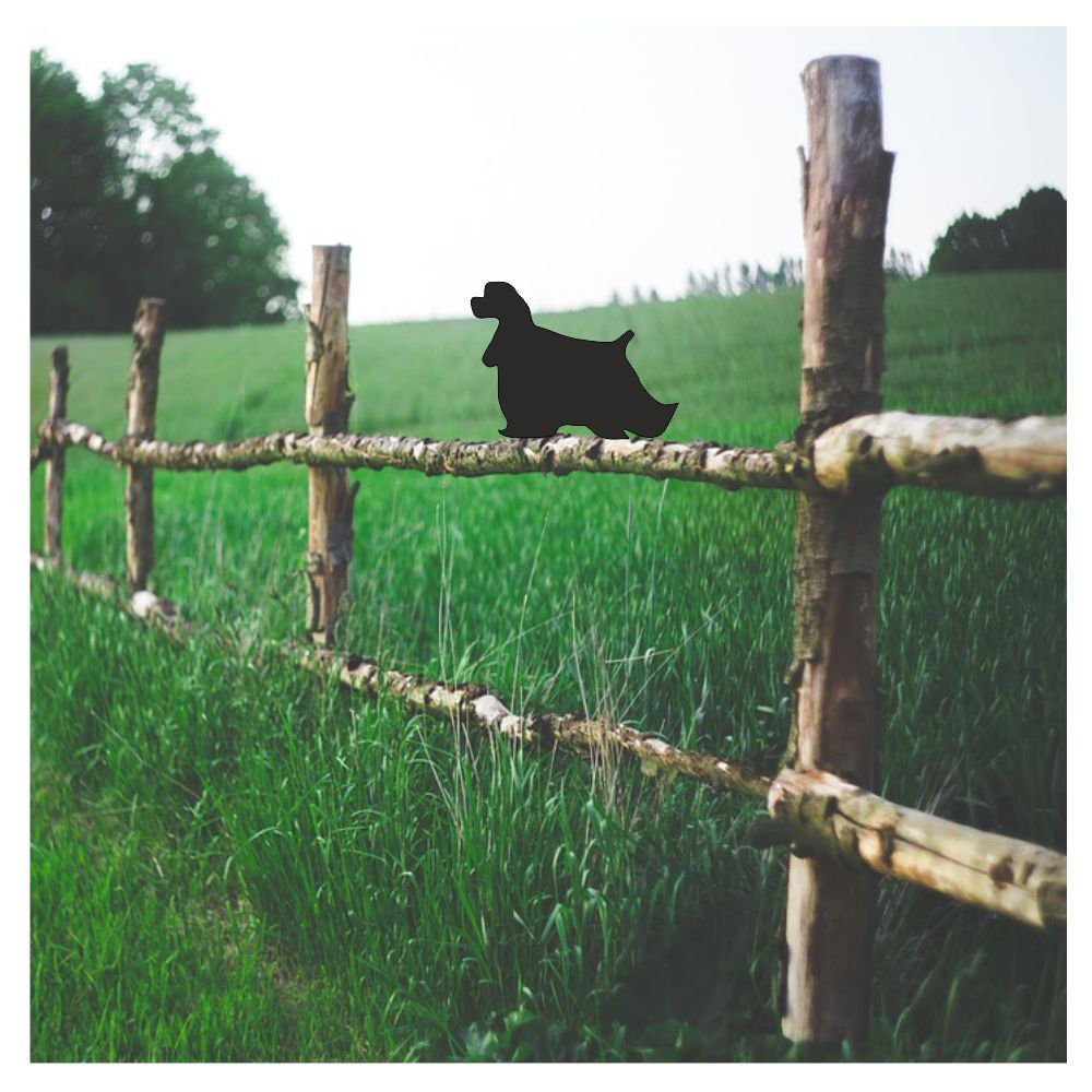 Tekamah American Cocker Spaniel Post Top