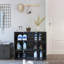 Armoire de rangement pour chaussures avec porte en verre