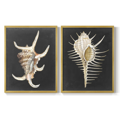 Araignée graphique - reproduction encadrée de qualité supérieure - prête à être accrochée - aucun clou requis - aucun clou requis