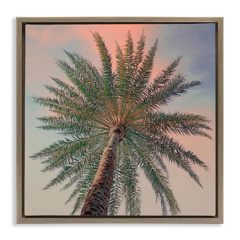 Cadre flottant Palm Up Against Sunset, design par Susan Jill, Cadre flottant orme Montalcino, H 18 po x l 18 po
