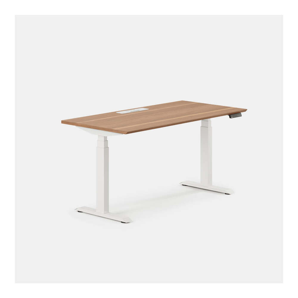 Standing Desk, 52" H x 60" W x 30" D, White, Walnut