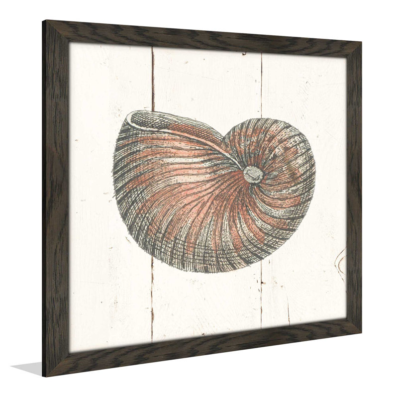 «Shell Sketches III Shiplap», reproduction de dessin, H 31,5 po x l 31,5 po x P 1 po, Cadre chocolat patiné