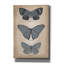 «Epic Graffiti« Vintage Butterflies Trio 1 »par Art Licensing Studio, art mural sur toile, 12 po x 18 po