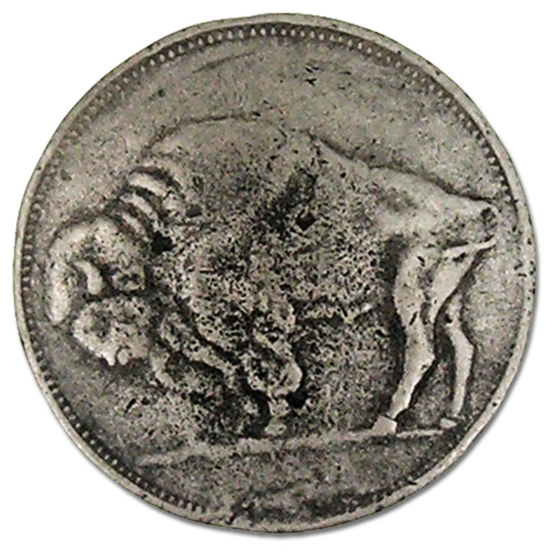 Matte Bronze Buffalo Coin Novelty Knob