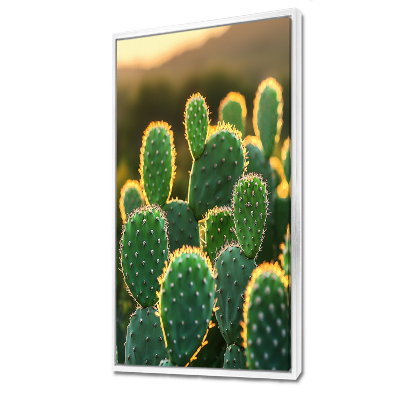 Marjona cactus dans la lumière du matin II - Cactus, art mural, H 60 po x l 28 po, Reproduction avec cadre flottant, Blanc