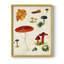 Reproduction encadrée champignon Mushroom Species-1911648753-1911648751