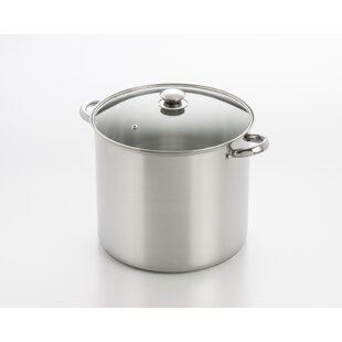 https://assets.wfcdn.com/im/26420356/resize-h310-w310%5Ecompr-r85/5381/53817102/cook-pro-stock-pot-with-lid.jpg
