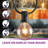 Burroughs 25' Outdoor Plug-in 25 - Bulb Globe String Light-1938768514