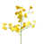 Yellow is out of stock