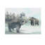 Black Bear Forest I Painting by D’Alessandro Léon-26764228-26764233