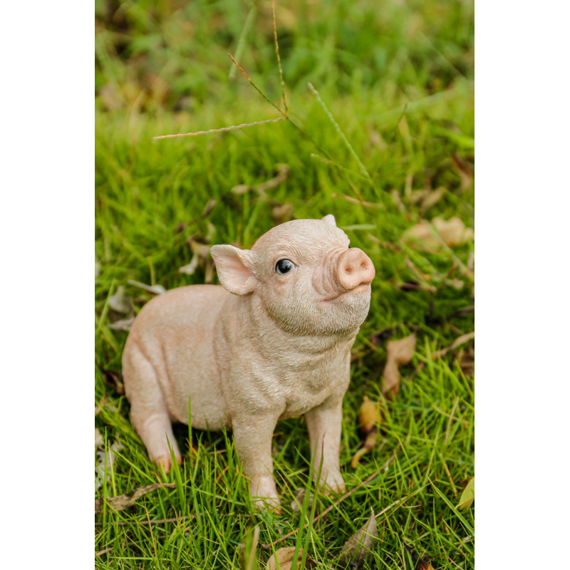 Bébé cochon assis, Rose