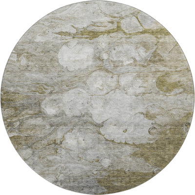 Premium Machine Washable Prisco Brown Rug