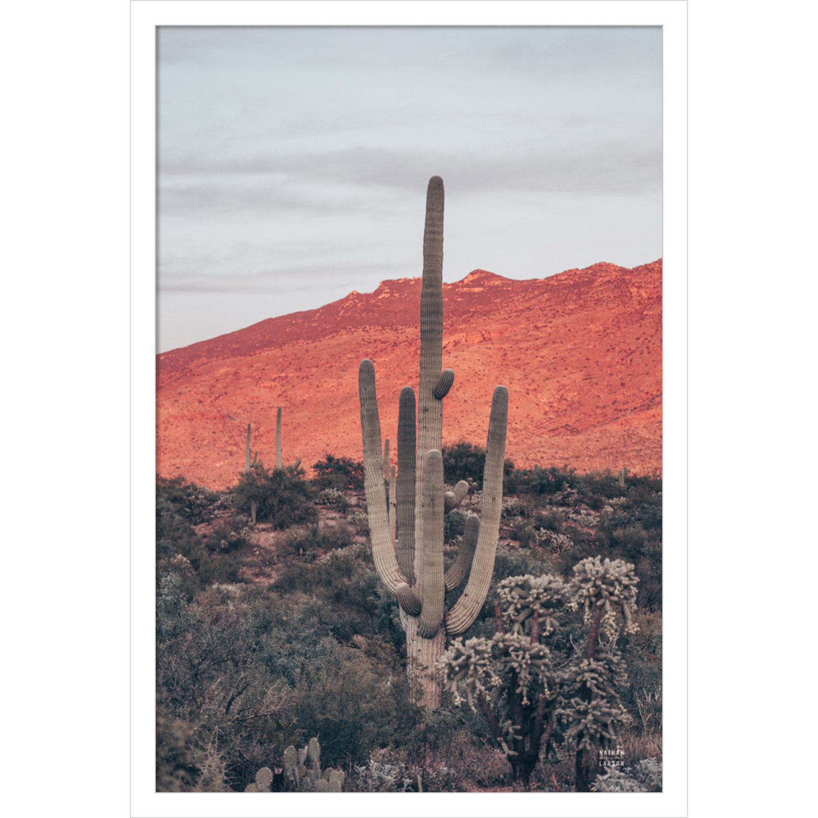 Sunsets and Saguaros Desert Photo Print, White, 25" H x 17" W x 1" D