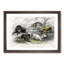 Wild Pig Illustration by Oliver Goldsmith - Framed Print-55612026-55612027