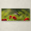 «Happy Little Hummingbird» par Kurt Shaffer, reproduction de photo sur toile-238830173