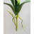 Artificial Orchid Leaves 12"