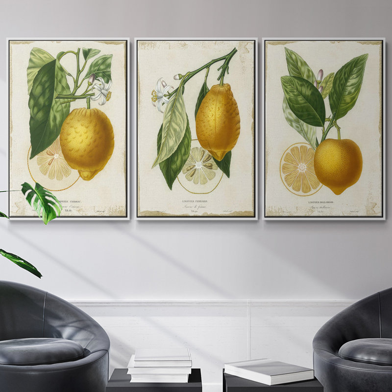 Watercolor House Plant IV, ensemble de 3 pièces encadrées sur toile, Blanc, H 40 po x l 78 po