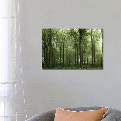 Forest... 1 Piece Wrapped Canvas Wall Art