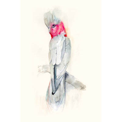 Opera Cockatoo II by Jennifer Goldberger - Wrapped Canvas Painting