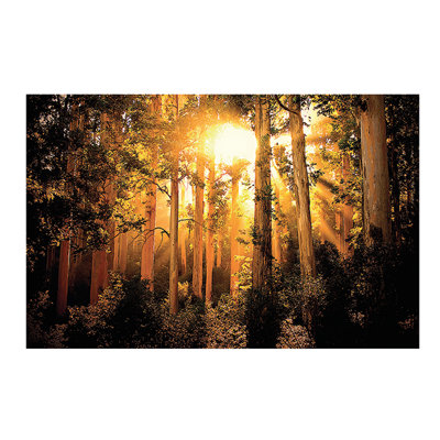 Mario Moreno - No Frame Print