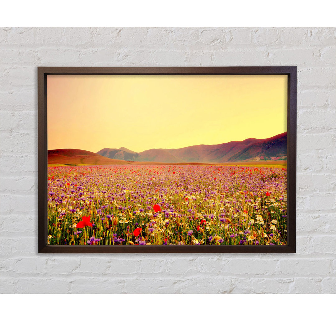 Sunny Field Of Beautiful Wild Flowers - Einzelner Bilderrahmen Kunstdrucke auf Leinwand