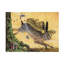 Impression sur toile, «Bachelor Autumn Winds»-95430117