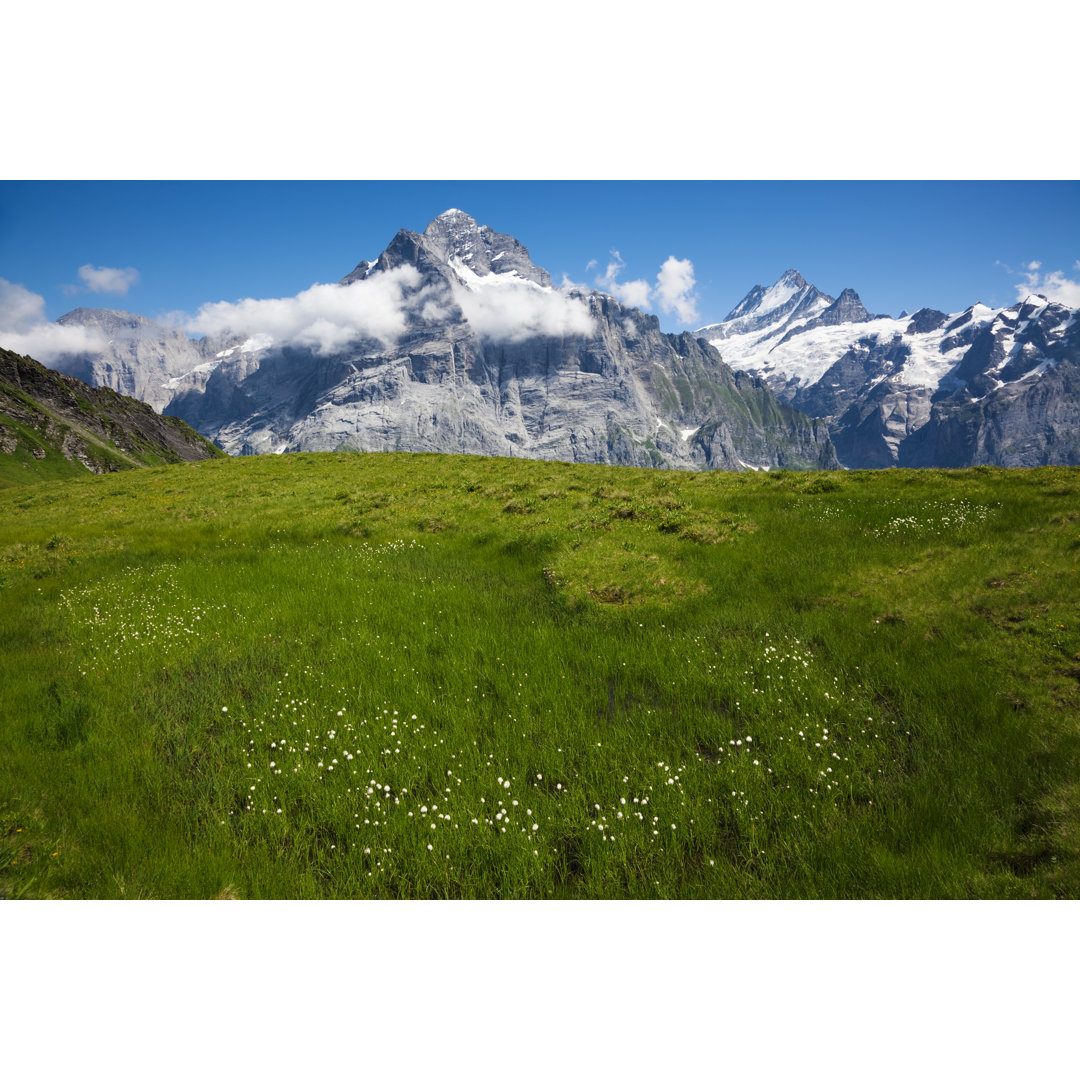 Alpen Sommer von LucynaKoch - Leinwandbild