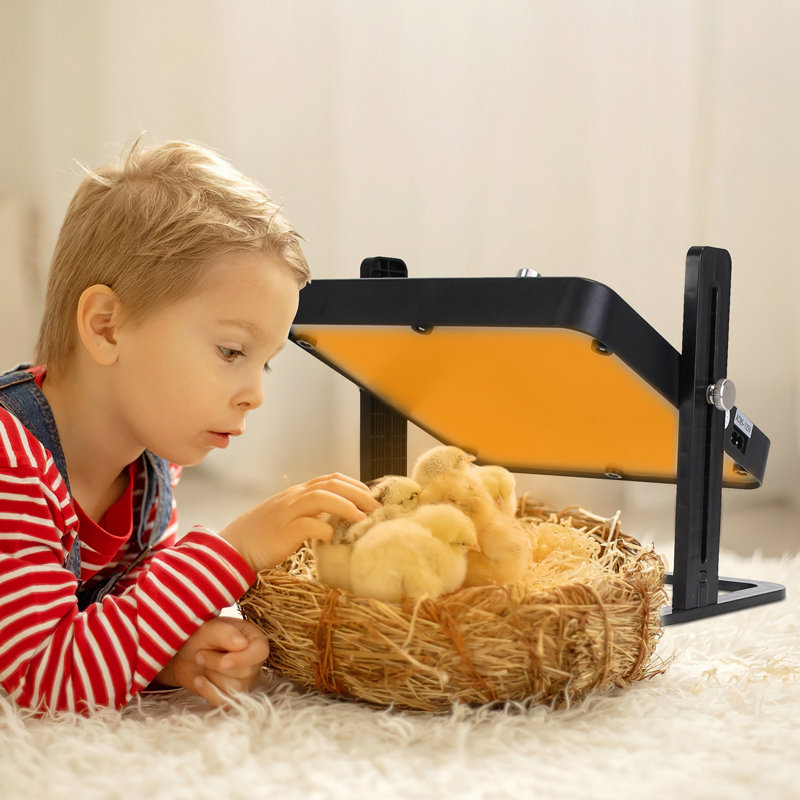 Felizitas Automatic Chicken Coop Door