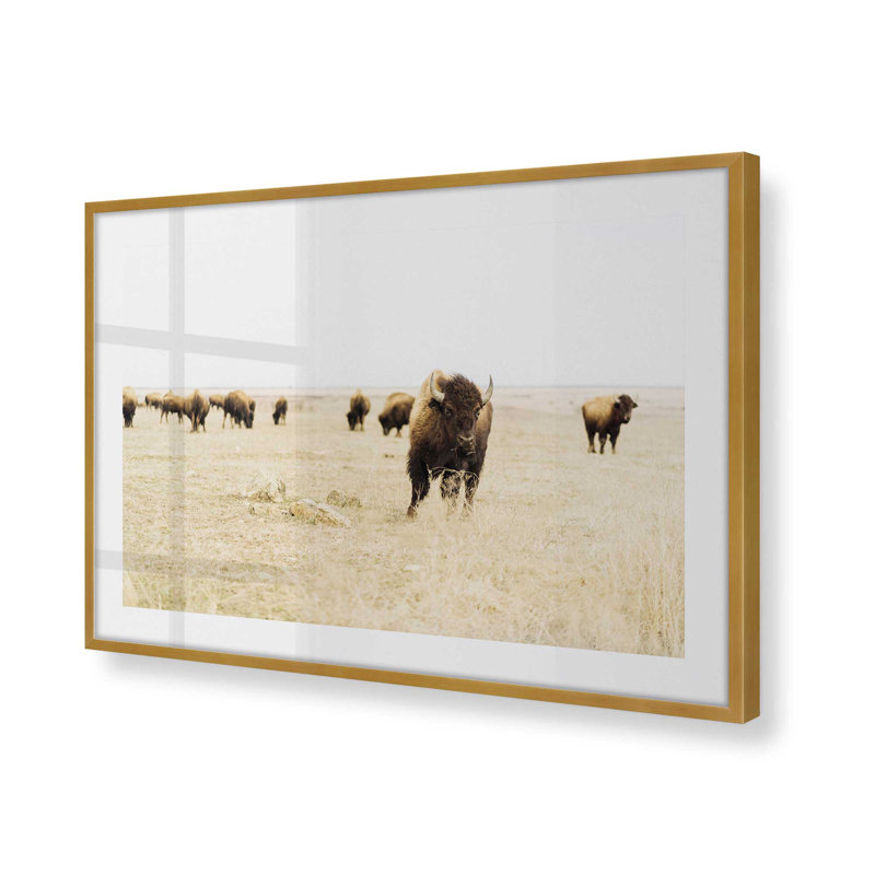 Motif de plaines sauvages, H 13,25 po x l 17,25 po x P 1,25 po, Cadre doré poli