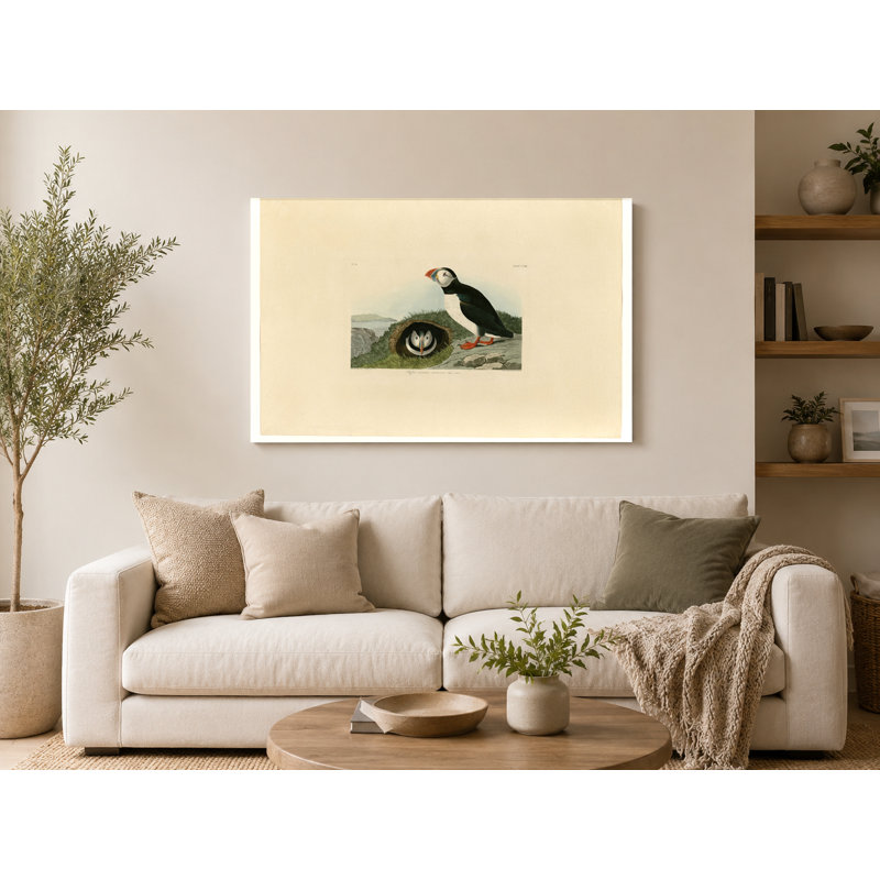 Macareux moine (plaque CCX III) - Paysage, art mural sur toile, 18" W x 12" H