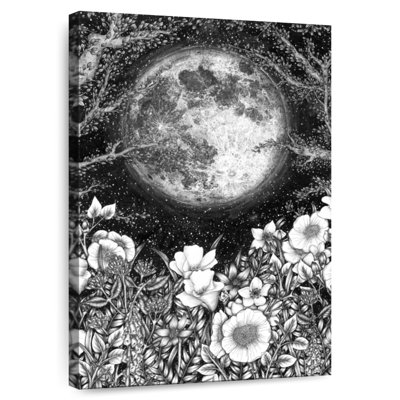 Minuit dans le jardin II