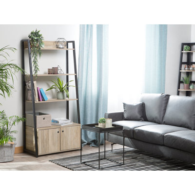 Griffie 160cm H x 70cm W Steel Ladder Bookcase