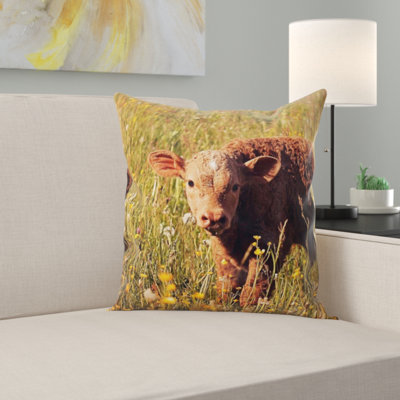 Coussin de veau
