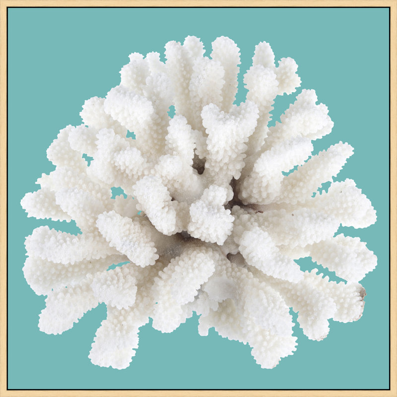 Coral Aqua 9' Framed Photographic Print