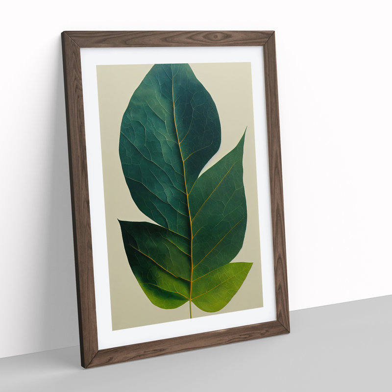 Single Plant Leaf No.2 - Wall Art, 48cm H x 36cm W, Walnut Framed, White