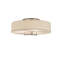4 - Light Semi Flush Mount
